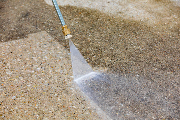 Animal Enclosure Cleaning in Ramblewood, NJ